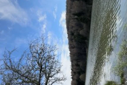Bolu - At Yaylası