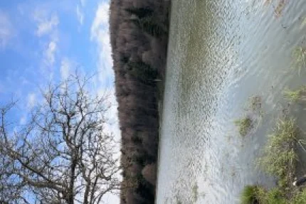 Bolu - At Yaylası