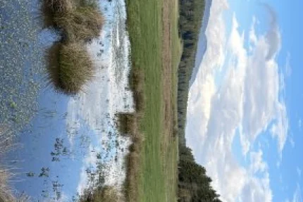 Bolu - At Yaylası